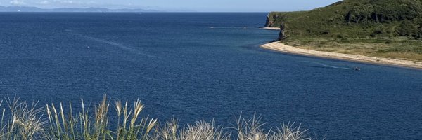 nanoboo Profile Banner