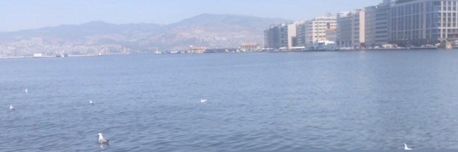 g_alhendi's profile banner image