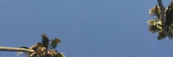 manduhmay Profile Banner