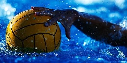 Newcastle Water Polo banner