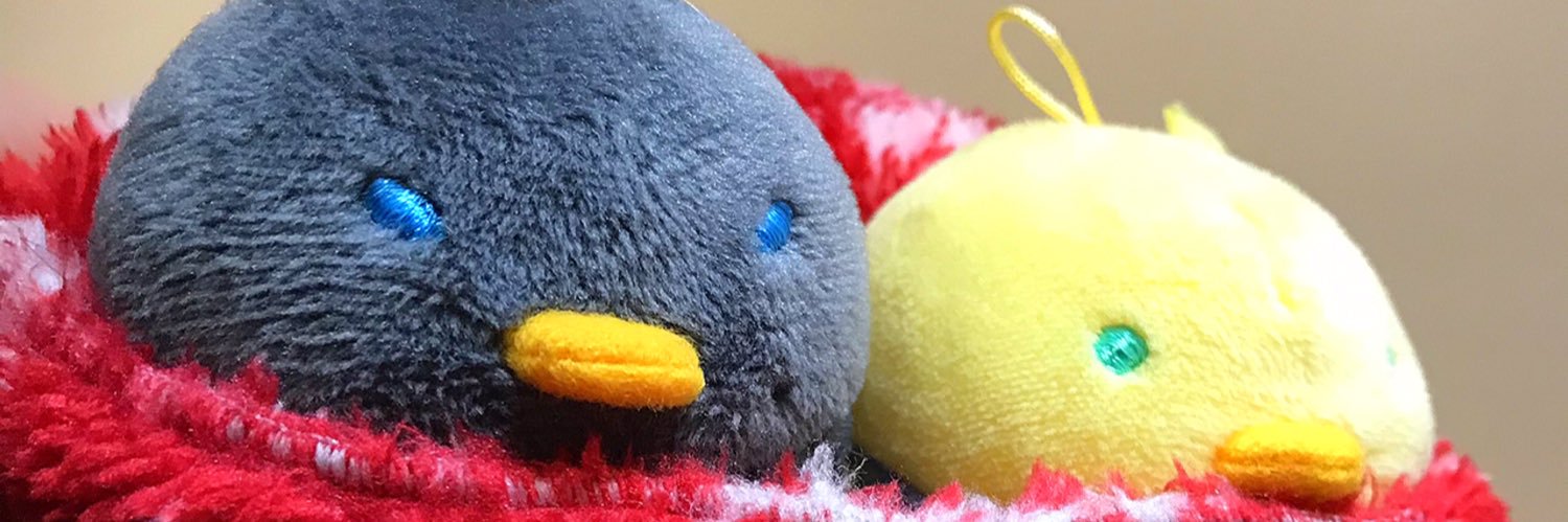 chiro2499ri's profile banner image