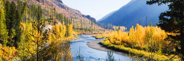 sierraberry Profile Banner