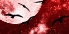 THe___W0RLD_'s profile banner image