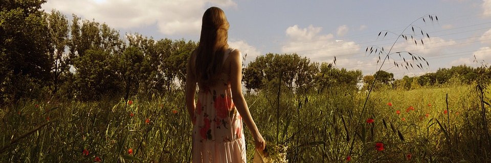 WildRambles's profile banner image