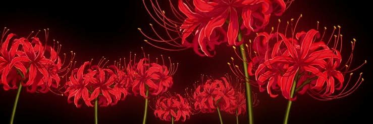 hiresapp ⚯͛ banner