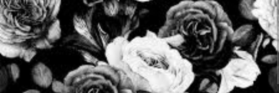 AnneMohdD's profile banner image
