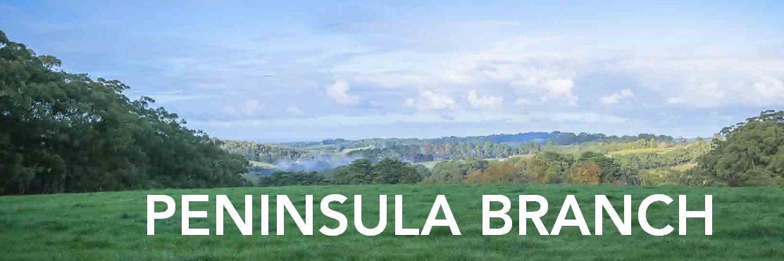 VFFPeninsula's profile banner image