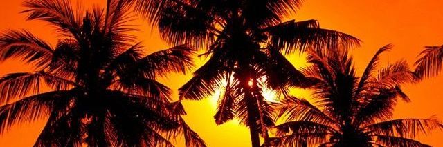 vikingfund's profile banner image