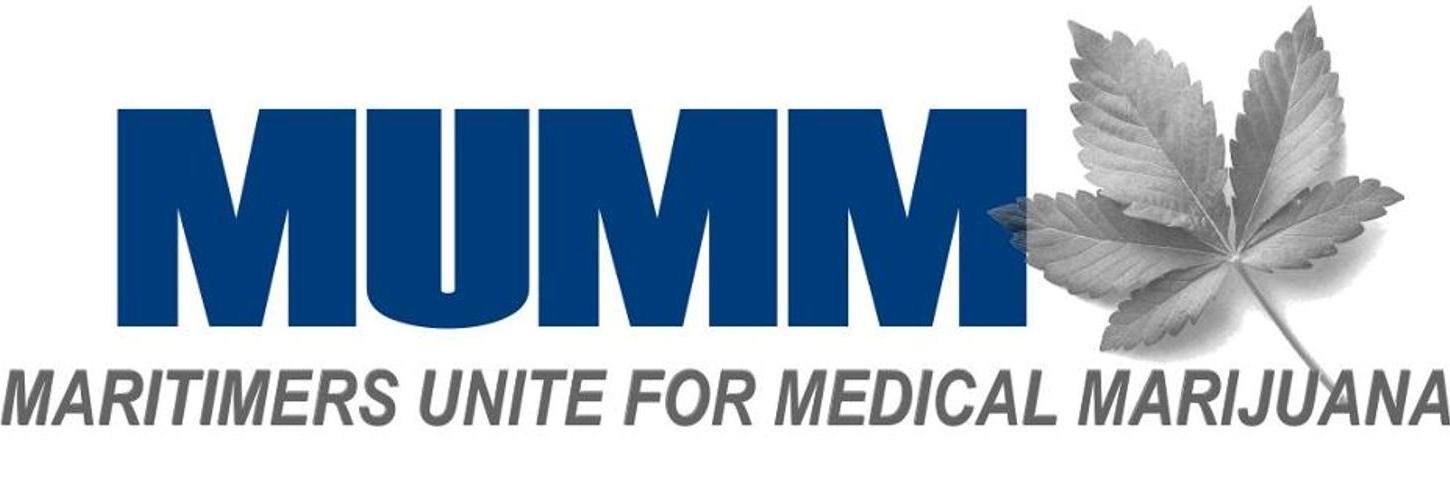 MUMMsvoice's profile banner image
