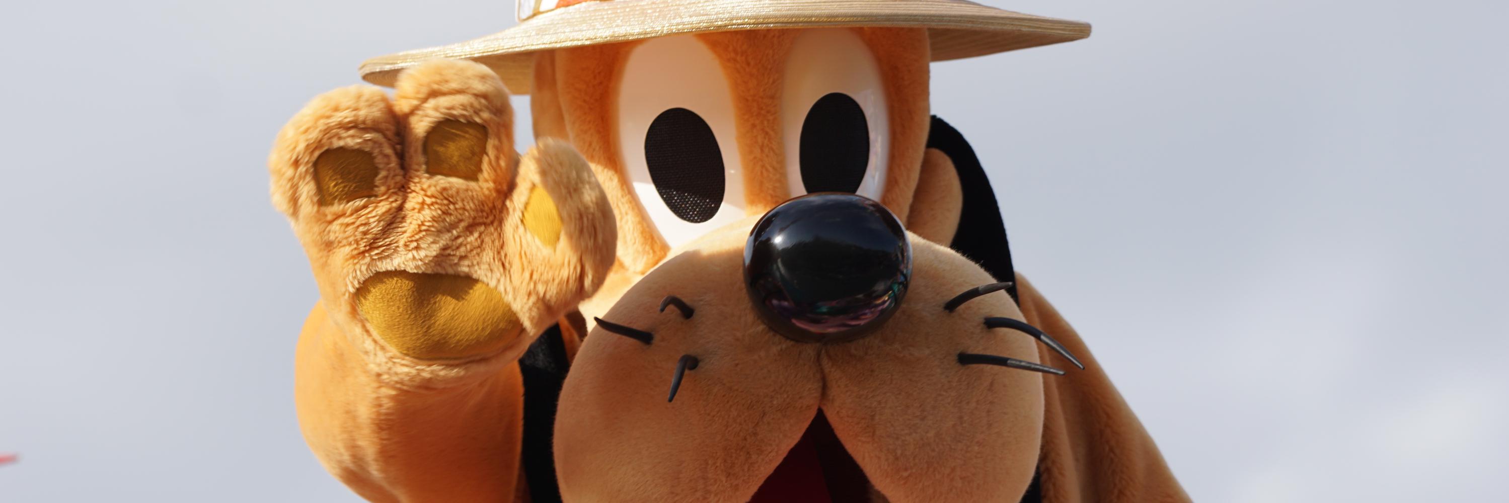 greedy_luv's profile banner image