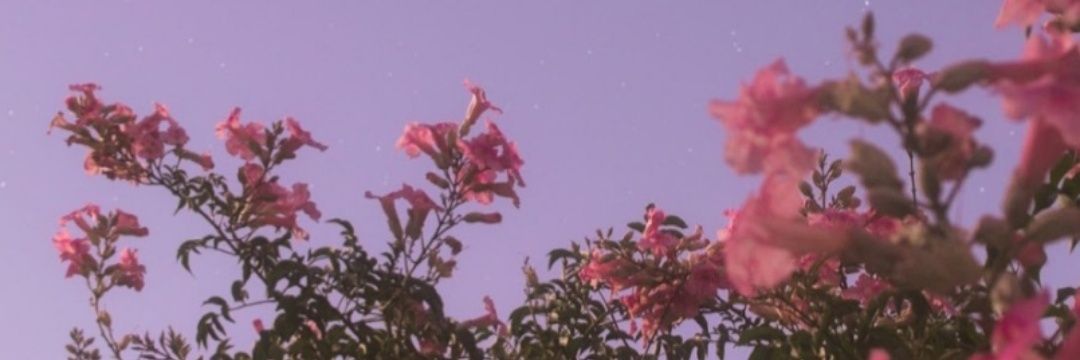 eleanorjbabe_'s profile banner image