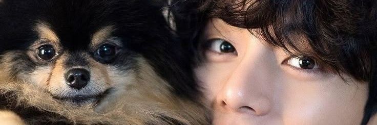 thv_juh's profile banner image