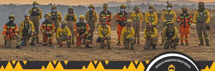 1ª Brigada Forestal Voluntaria de Chile banner