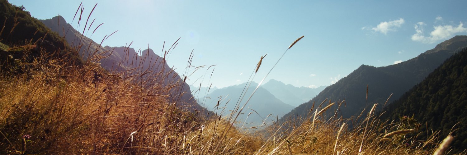 Jérémie Le Guen banner