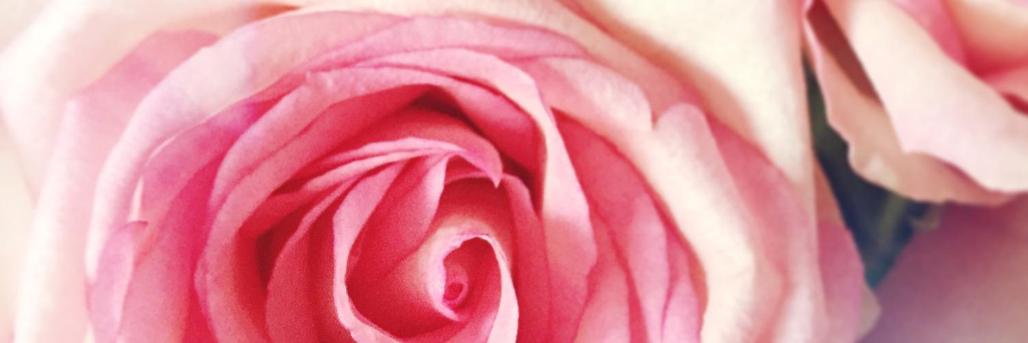 BethDallas_'s profile banner image