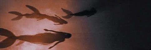NidaWolf82's profile banner image