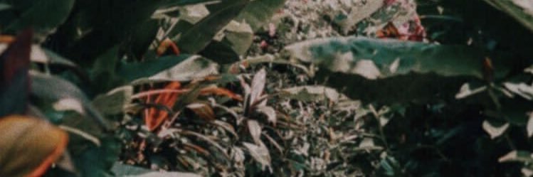 sysypramesti's profile banner image