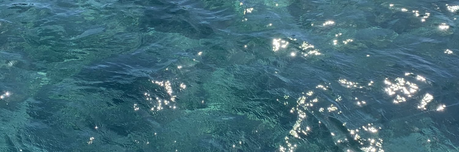 heidi_whiteee's profile banner image