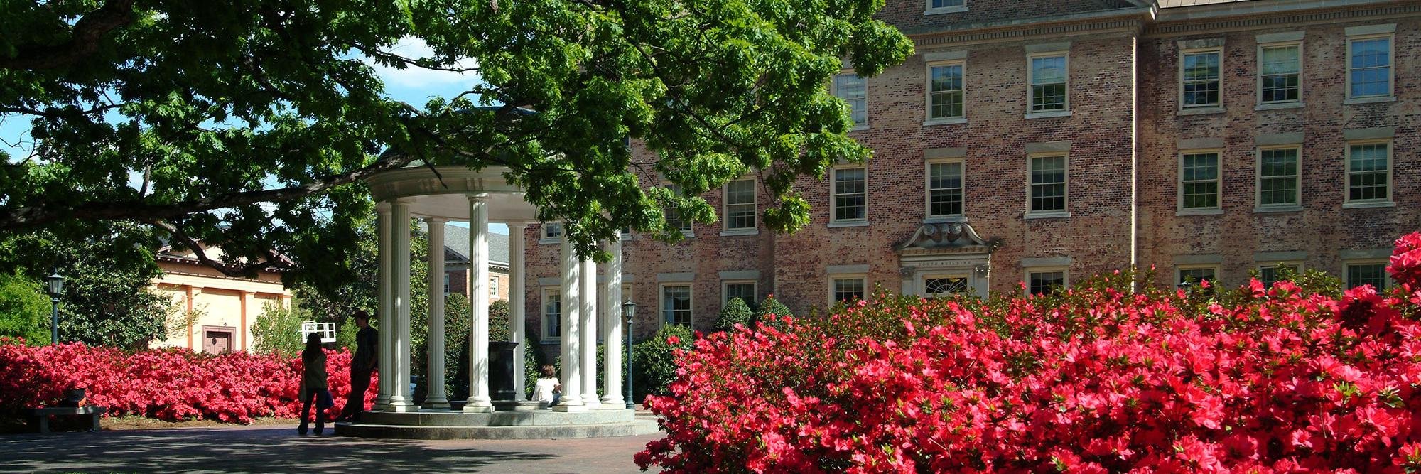 Carolina Cupboard banner