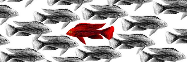 naresh_sunkara Profile Banner