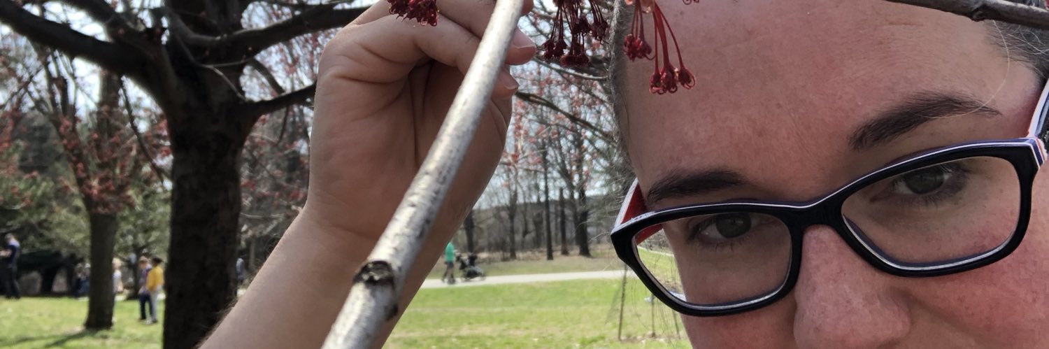 Catherine Delanoix banner