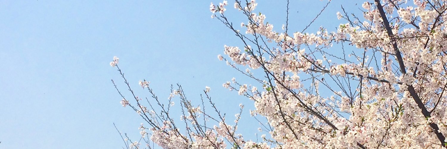 Syan_tiara's profile banner image