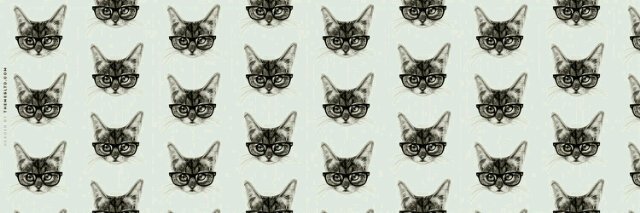 imeldaevrilya's profile banner image