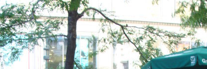 platisajelena's profile banner image