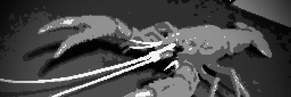 silversage0123's profile banner image