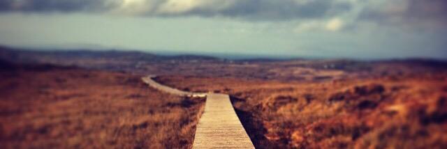 Rachel Mathews-McKay she/her banner