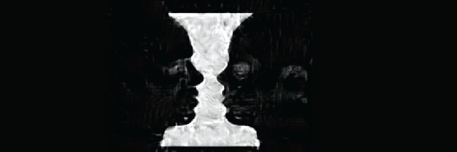 Tahereh Toosi's banner