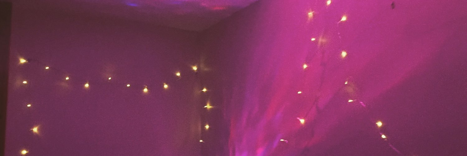 laurajhal's profile banner image