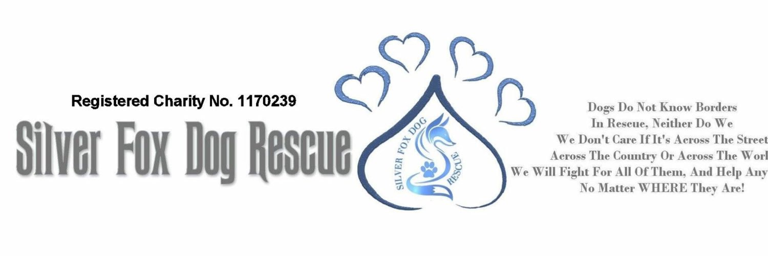 silverfoxrescue's profile banner image
