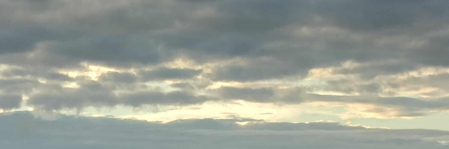 Shyuna banner