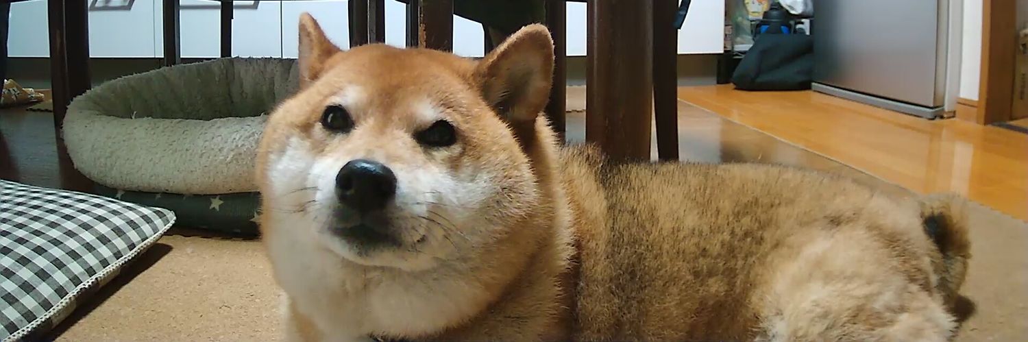 koki banner