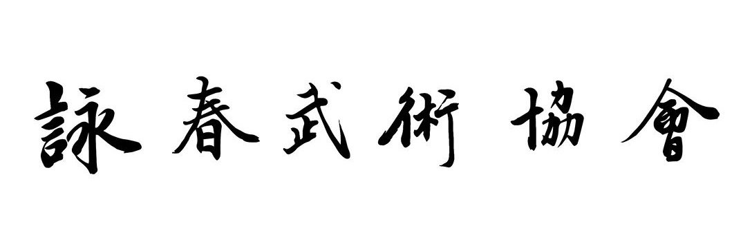 VingTsunAcademy's profile banner image