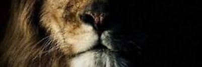 313TO713's profile banner image