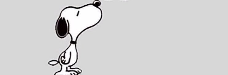 Papitaro06's profile banner image