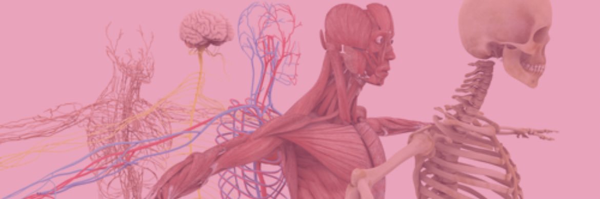 Lilliandelrey's profile banner image