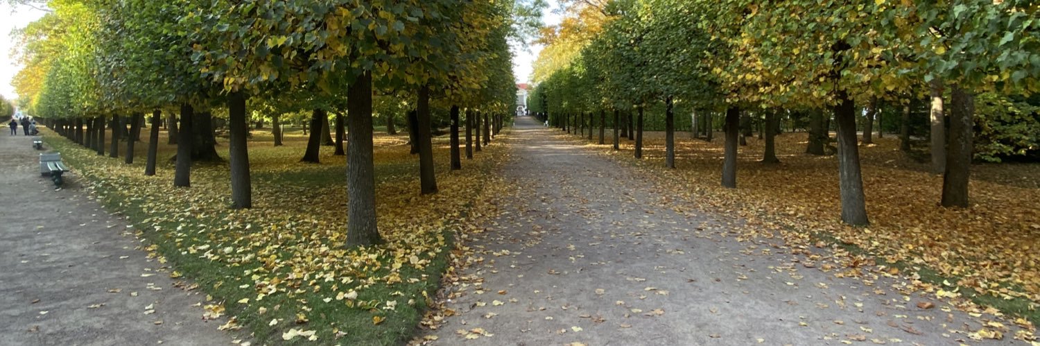 Дмитрий banner