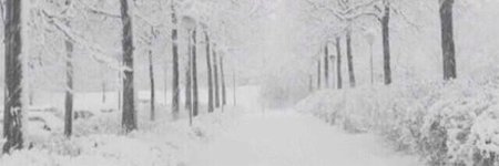 hugme_irwin's profile banner image