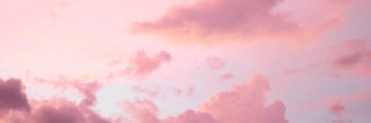 flowersftrick's profile banner image