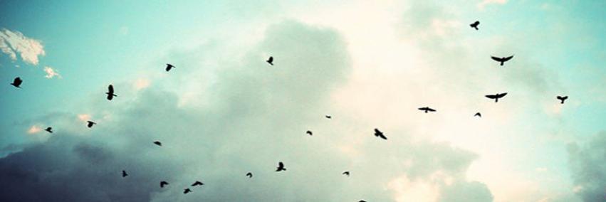 tmjforever8's profile banner image