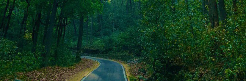 Millee_18's profile banner image