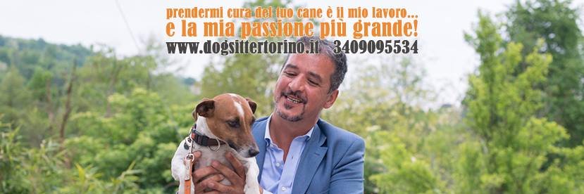 Dogsitterino's profile banner image