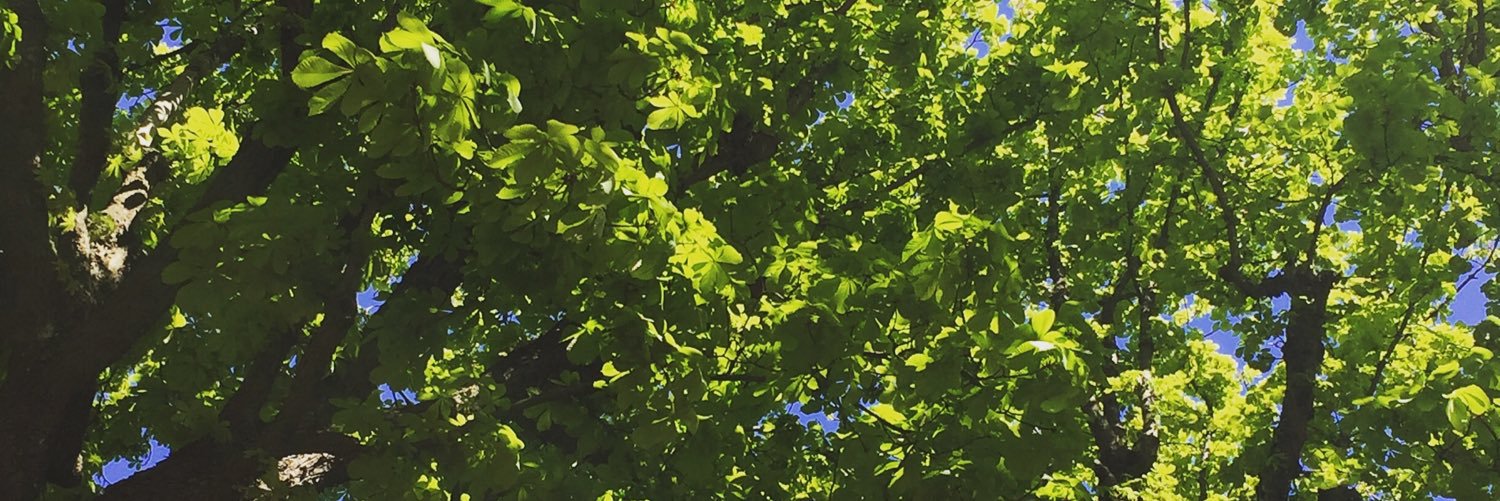 LaraJdc's profile banner image