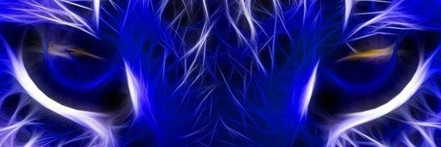 pacfeli's profile banner image