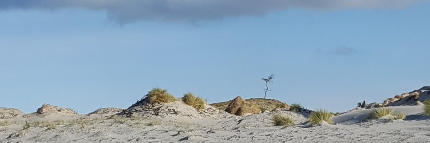 OudeVuur's profile banner image