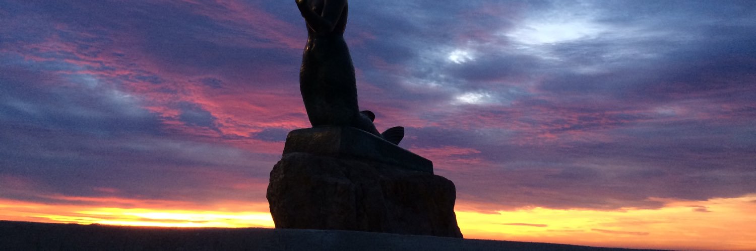 Jaume Monasterio 🎗 banner