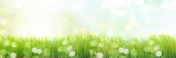 InboundCircle Profile Banner